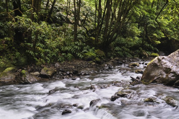 Torrent, Salto do Cabrito waterfall, SÃ£o Miguel, Azores, Portugal