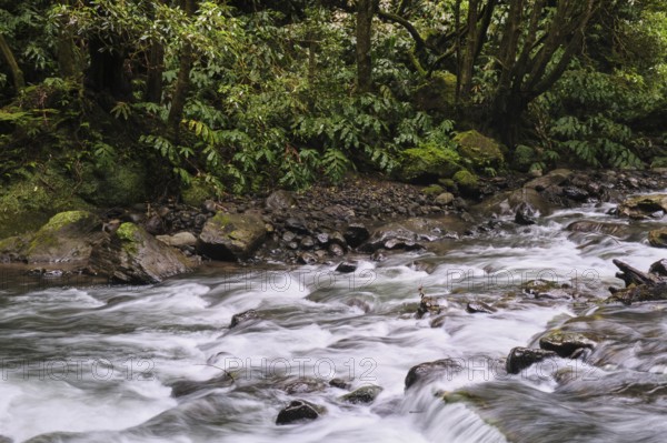 Torrent, Salto do Cabrito waterfall, SÃ£o Miguel, Azores, Portugal