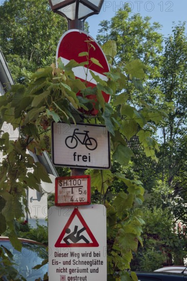 Street lamp and overgrown traffic sign, no entry, free for bicycles, Isny, Swabia,