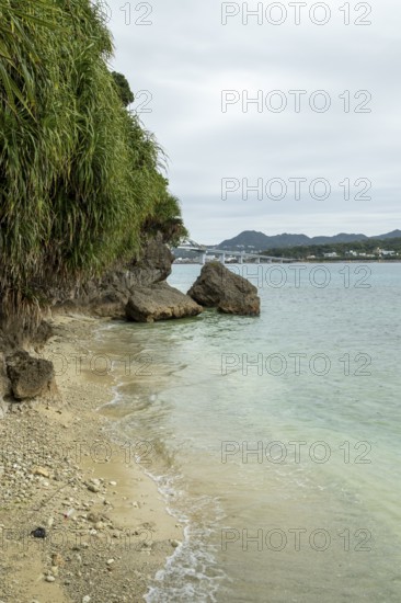 Lover Beach, volcanic rocks and vegetation on the beach of Sesoko-jima, Sesoko Island, Motobu,