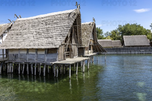 Traditional stilt house towers over shimmering green water in tranquil surroundings, Lake Dwellings