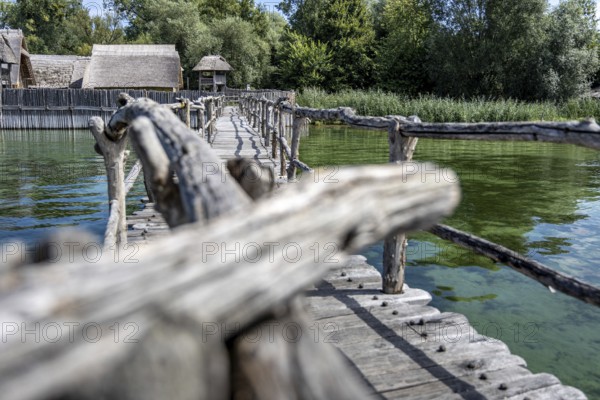 Wooden bridge near huts offers views of green water and dense vegetation, pile dwellings at