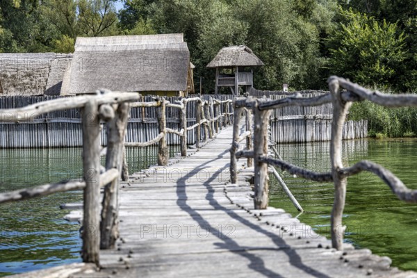 Rustic wooden bridge leads through lush vegetation over the water, pile dwellings Unteruhldingen