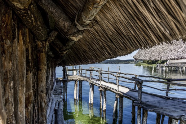 Rustic wooden path under a thatched roof with a view of the water, pile dwellings Unteruhldingen