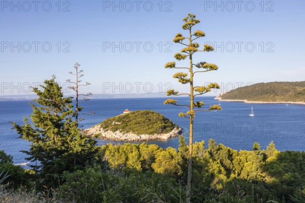 View from the island of Vis to the island of Hvar, sailing ships off the bay of the town of Vis,