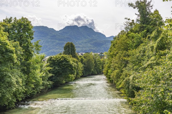 The river Enns between green trees with mountains in the background, Bad Ischl, Upper Austria,
