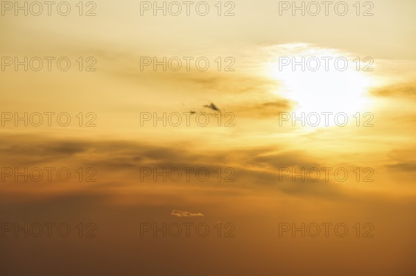 Evening sun behind cirrus, golden evening sky, full-frame, Oia, Thira, Santorini, Cyclades, Greece