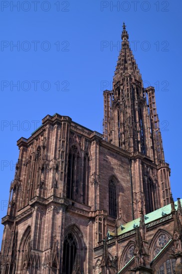 South side, Cathedral Notre-Dame, Strasbourg, Old Town, Bas-Rhin, Grand Est, Alsace, France