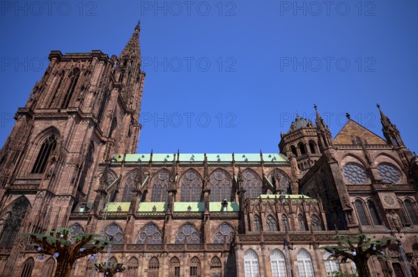 South side, Cathedral Notre-Dame, Strasbourg, Strasbourg, Old Town, Bas-Rhin, Grand Est, Alsace,