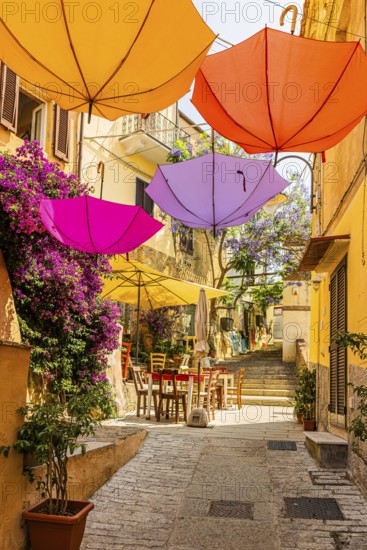 Coloured umbrellas span the Via Cavour, Capoliveri, Elba Island, Tuscan Archipelago National Park,