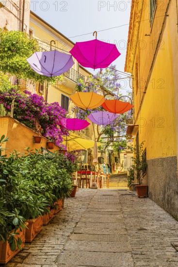 Coloured umbrellas span the Via Cavour, Capoliveri, Elba Island, Tuscan Archipelago National Park,