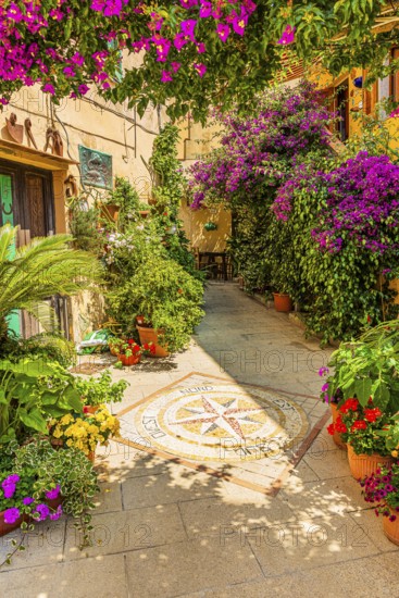 Courtyard decorated with flower pots, Capoliveri, Elba Island, Tuscan Archipelago National Park,