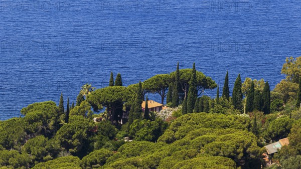 Holiday home directly by the sea, surrounded by umbrella acacias and cypresses, below Capoliveri,