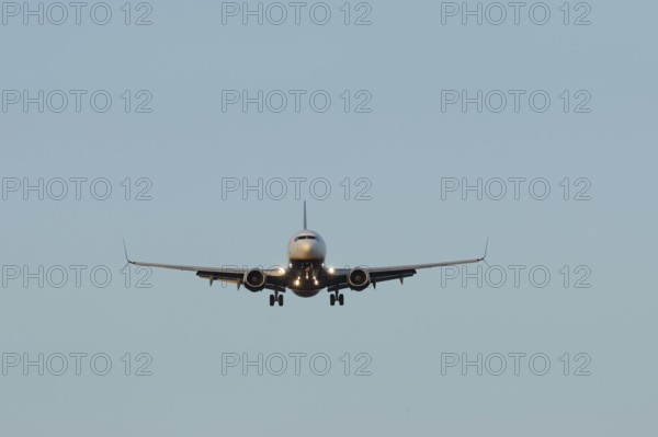Boeing 737 jet passenger aircraft of Ryanair airlines in flight landing at London Stansted airport,