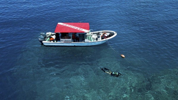Diver scuba diving swims dives next to diving ship anchored at reef, Pacific Ocean, Yap Island, Yap