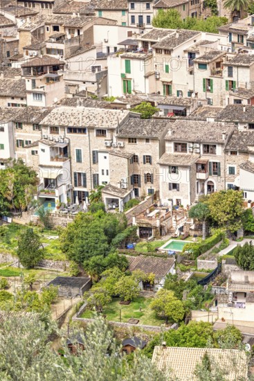 Aerial view at an old village with residential houses and gardens with lush trees in the summer,