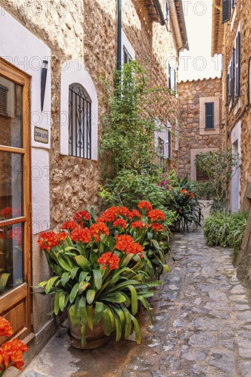Picturesque alley with beautifully blooming flowers by the wall at an entrance to a residential