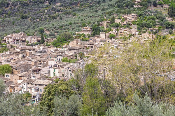 View at an old mountain village with residential houses on a slope with lush green trees,