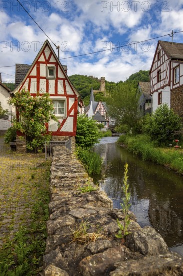 A historic half-timbered village in the morning. Beautiful light in Monreal im Elztal,