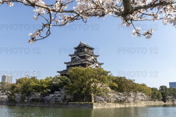Hiroshima Castle, also known as Carp Castle, against a blue sky with cherry blossoms, sakura, and