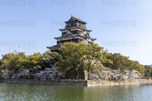 Hiroshima Castle, also known as Carp Castle, against a blue sky with cherry blossoms, sakura, and