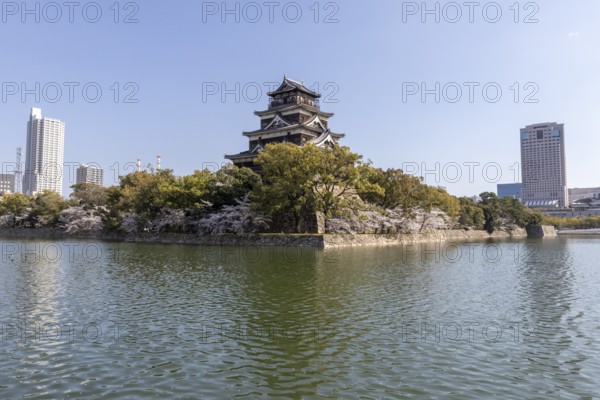 Hiroshima Castle, also known as Carp Castle, against a blue sky with cherry blossoms, sakura, and