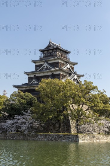 Hiroshima Castle, also known as Carp Castle, against a blue sky with cherry blossoms, sakura, and