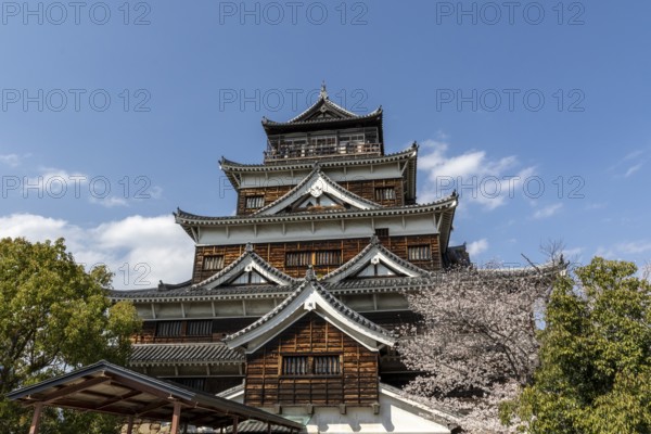 Hiroshima Castle, also known as Carp Castle, in front of a blue sky with cherry blossoms, Sakura,