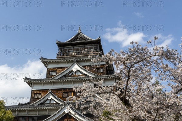 Hiroshima Castle, also known as Carp Castle, in front of a blue sky with cherry blossoms, Sakura,