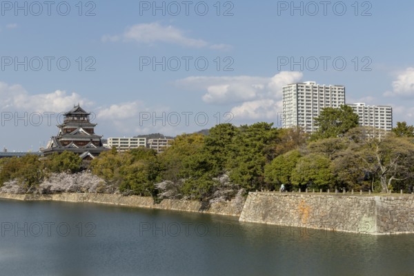 Hiroshima Castle, also known as Carp Castle, against a blue sky with cherry blossoms, sakura, and