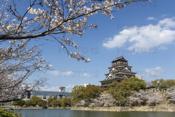 Hiroshima Castle, also known as Carp Castle, against a blue sky with cherry blossoms, sakura, and