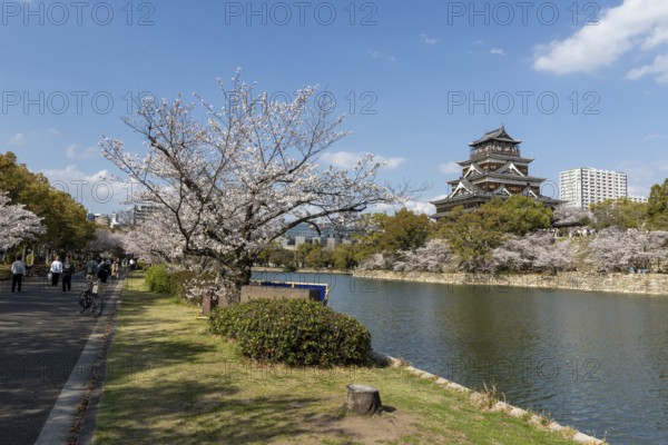 Hiroshima Castle, also known as Carp Castle, against a blue sky with cherry blossoms, sakura, and
