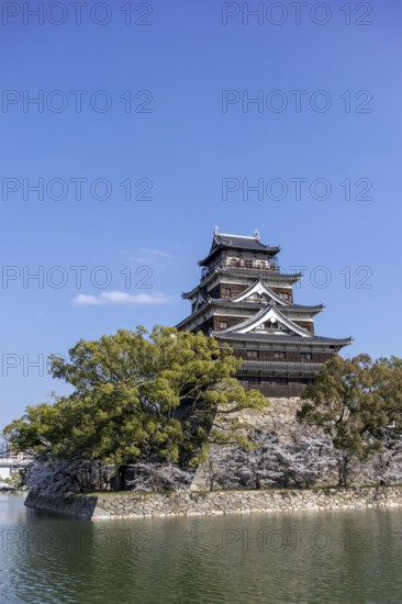 Hiroshima Castle, also known as Carp Castle, against a blue sky with cherry blossoms, sakura, and