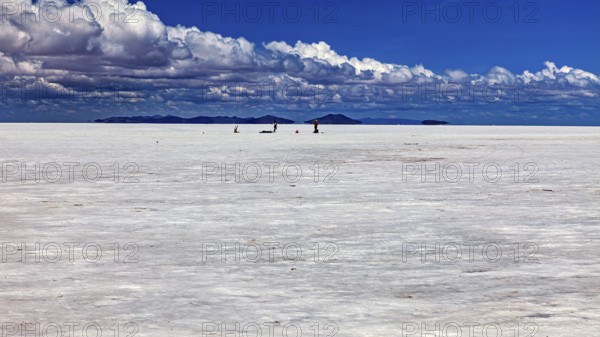 Vast salt desert with small animal-like creatures and clouds in the blue sky, The endless expanses