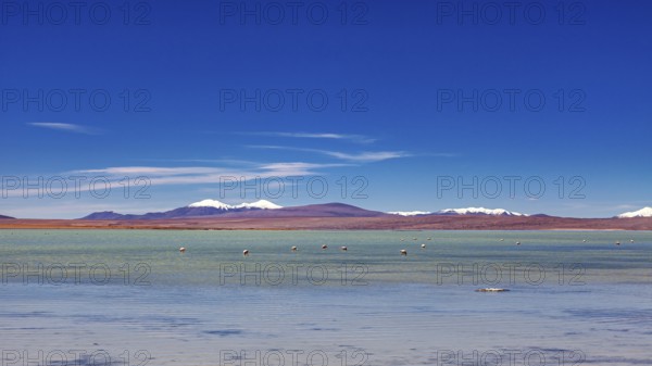 Vast landscape with a clear lake and snow-capped mountains under a blue sky, The landscape of the