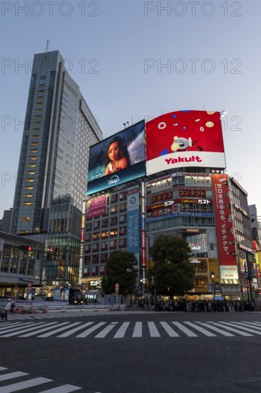 Crowd waiting at the zebra crossing of Shibuya Crossing, world-famous intersection in Shibuya
