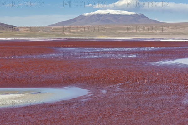 A breathtaking red lake with a snow-capped mountain in the background under a clear sky, The Laguna