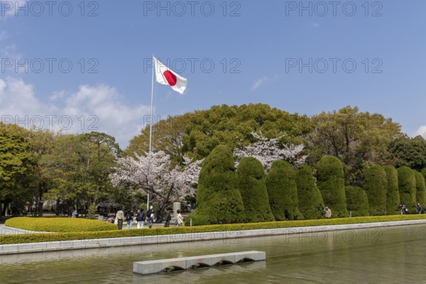 Japanese national flag and blossoming cherry trees, Sakura in the Peace Park, landmark, UNESCO