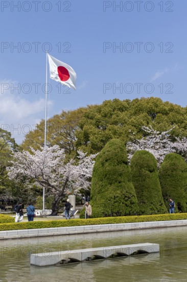 Japanese national flag and blossoming cherry trees, Sakura in the Peace Park, landmark, UNESCO