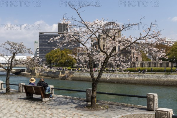 Tourists sitting on a bench under blossoming cherry trees, Sakura, Atomic Bomb Dome behind them,