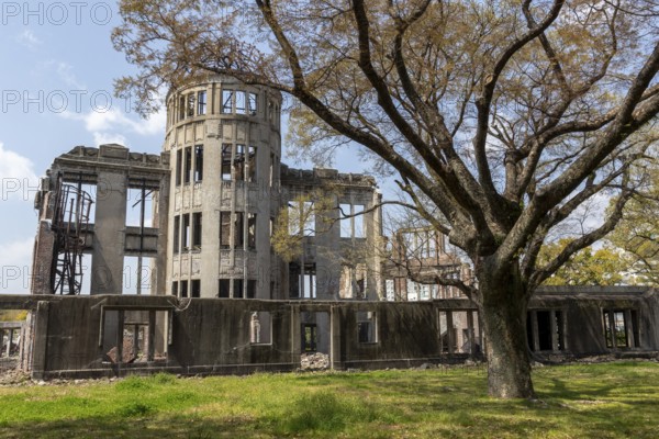 Tree in front of the atomic bomb dome, Atomic Bomb Dome, ruins of the former Chamber of Commerce