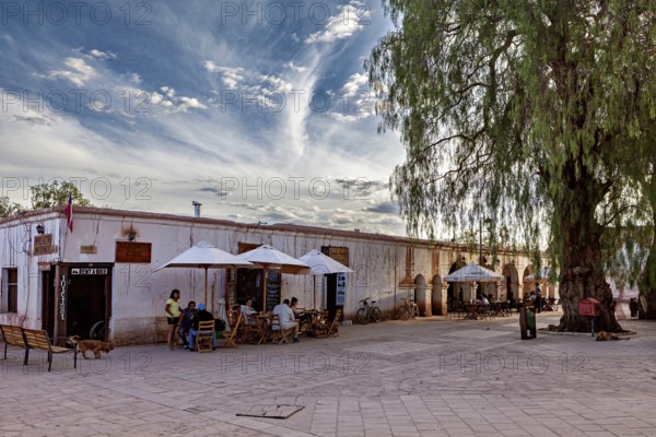 People sit under parasols in a square next to a large tree in front of an old building, The town of