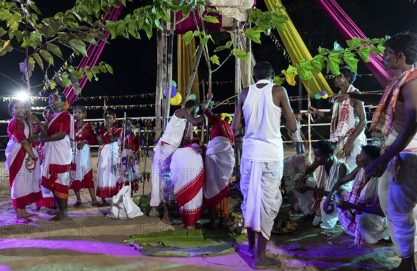 Members of the tea tribe community holds a karam tree as they celebrate the vibrant Karam Festival