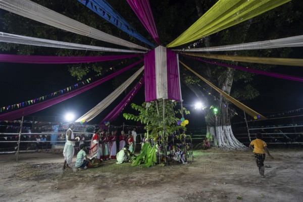 Members of the tea tribe community celebrate the vibrant Karam Festival with traditional rituals at