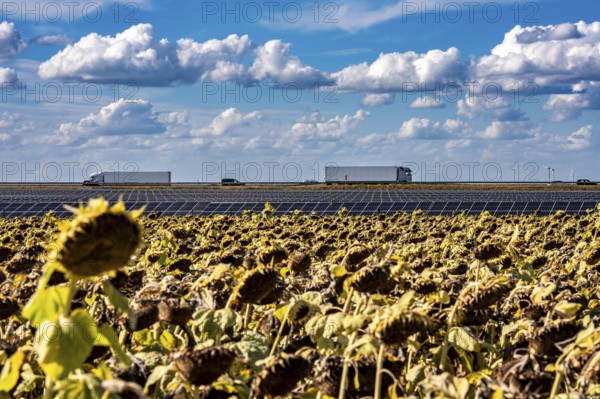 86, 5 MW peak ground-mounted photovoltaic systems, by RWE, with over 141, 000 solar modules, on a