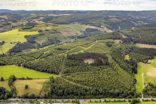 Aerial view, forest area wind fallow with forest damage, hilly landscape with distant view, Bad