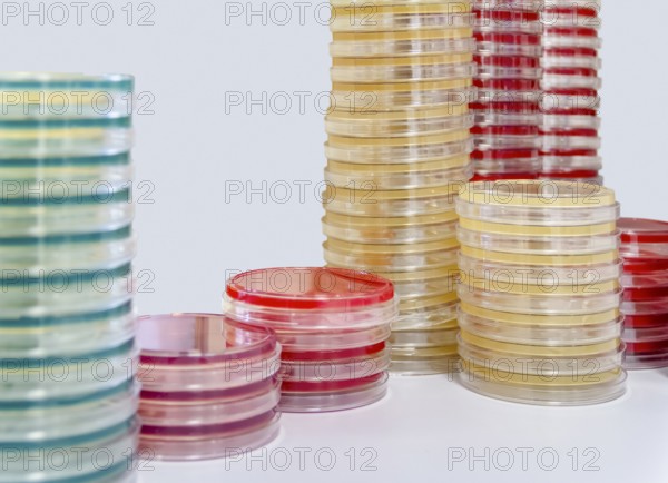 Lots of stacked petri dishes filled with colorful agar growth medium