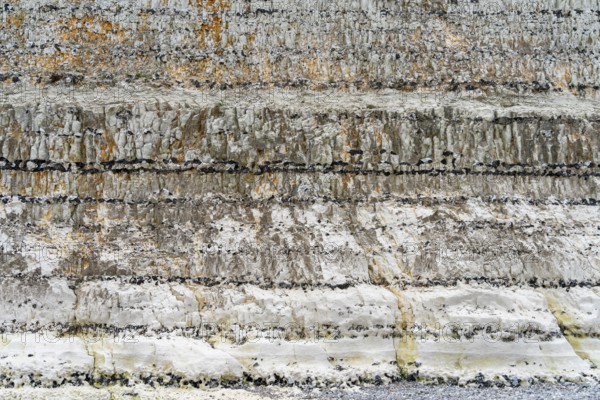 Chalk cliff closeup seen near Fecamp, a commune in the department of Seine-Maritime at the Normandy