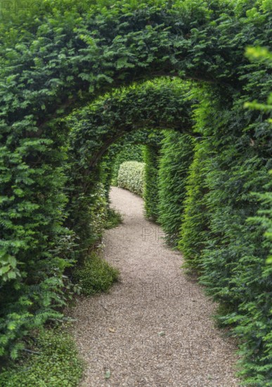Idyllic garden scenery showing some green plant arches over a footpath at summer time seen in
