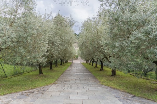 Impression around the Piona Priory or Piona Abbey, a religious complex on the Lecco bank of Lake